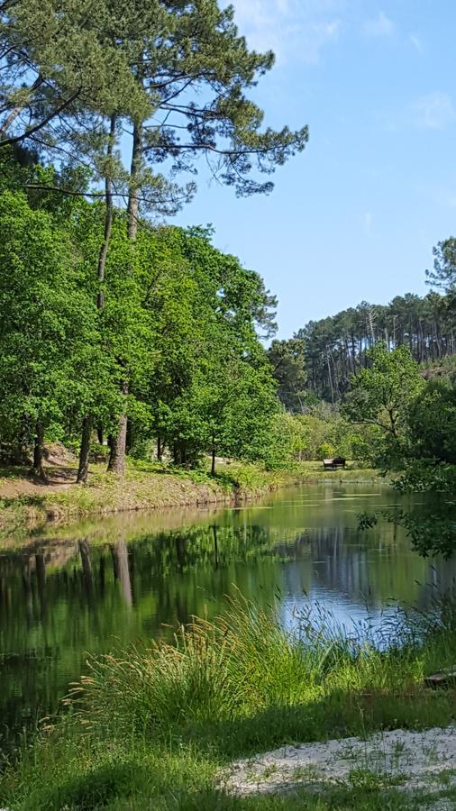 Palika Lodge Castets Dış mekan fotoğraf